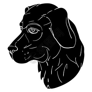 十二生肖之狗印刷打印白色乡村犬类用户涂鸦插图宠物化身哺乳动物男性背景