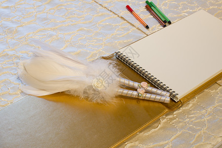 签到填写名字结婚登记簿和羽毛笔的照片 婚礼宾馆女人留言簿传统合同客人婚姻结婚日男人两个人女士背景