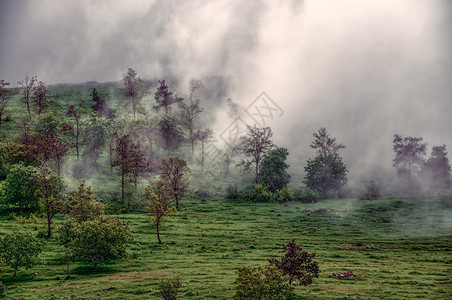 卡拉巴赫雾阴霾树木薄雾绿色草地农村风景背景