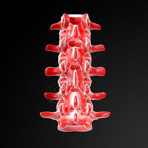 伦巴涡流疼痛髓质骶骨骨干关节剧痛专栏腰椎骨骼高清图片