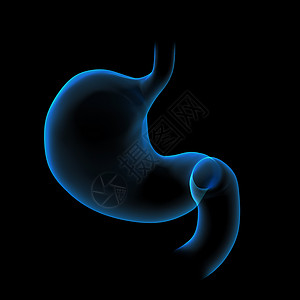 3d 做胃部插图健康男人渲染男性身体蓝色科学胸部腹部解剖学背景图片