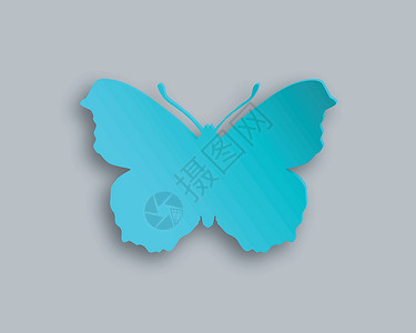 蓝蝴蝶动物白色卡片阴影蓝色昆虫插图背景图片