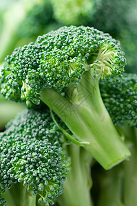 花椰菜蔬菜食物绿色背景图片