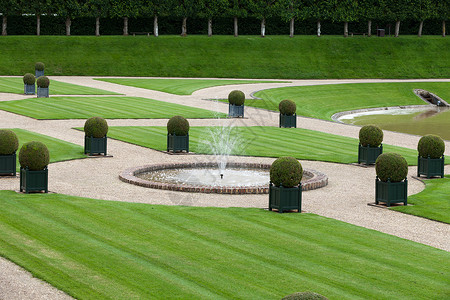 法国城堡的装饰花园 非常美观衬套公园恶棍草本植物胡同灌木生长树篱盒子背景