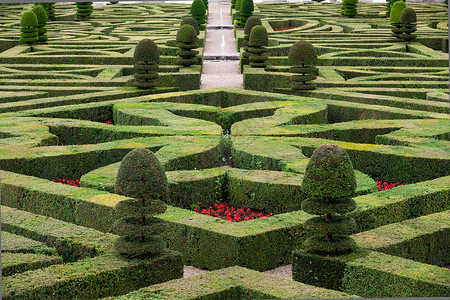 法国城堡的装饰花园 非常美观恶棍衬套胡同盒子树篱生长公园灌木草本植物背景