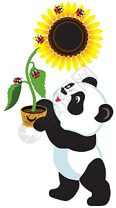 持向日葵的卡通熊猫背景图片