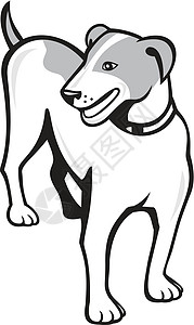 常任卡通犬类艺术品卡通片衣领猎犬插图宠物背景图片