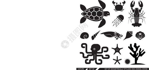 科伊海克国家保护区一组几何平时的海动物图标插画