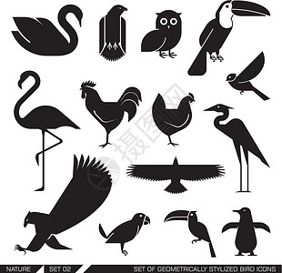 科伊海克国家保护区一组几何Styl化鸟类图标插画