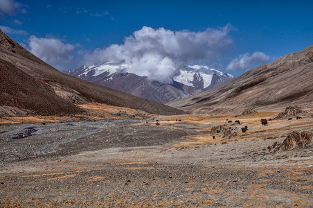 塔吉克斯坦河谷风景家畜溪流山脉沙漠全景牦牛高清图片