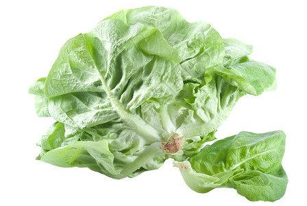 发生沙拉白色绿色蔬菜背景图片