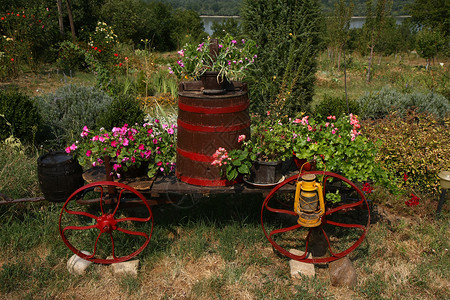 重型车作品轮子大车花园花朵背景图片