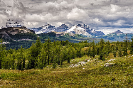 狂放的风景山脉视图 班夫国家公园 加拿大背景