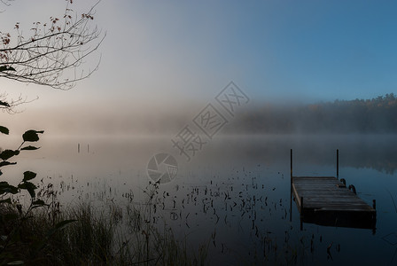 分支湖蓝色的早晨高清图片