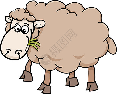 农牧养羊的动物漫画插图快乐农场国家卡通片羊肉绘画家畜羊毛背景图片