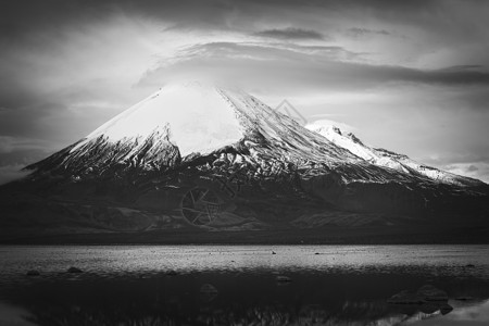 帕利纳科塔智利北部帕里纳科塔火山和Chungara湖拉丁边界体重风景高原国家旅行山脉公园背景