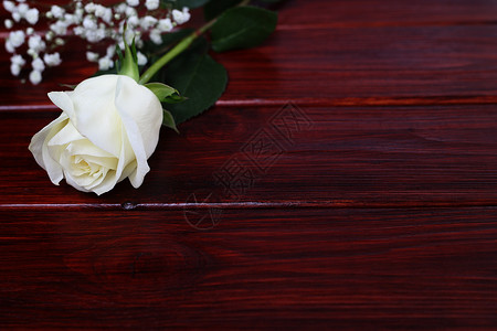 木制背景的白玫瑰棕色卡片妈妈们花束婚礼玫瑰桌子新娘木板木头背景图片
