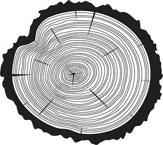 金木素材黑白树木原木的黑白木切除矢量设计图片