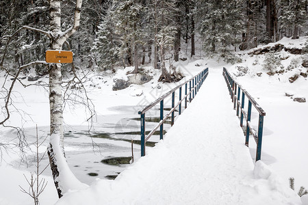 木头桥埃布西冬季季节电子书木头森林活动天空高山旅行背景