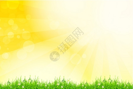 布恩雷蒂罗公园新鲜绿色青草 黄布基和阳光照耀插画