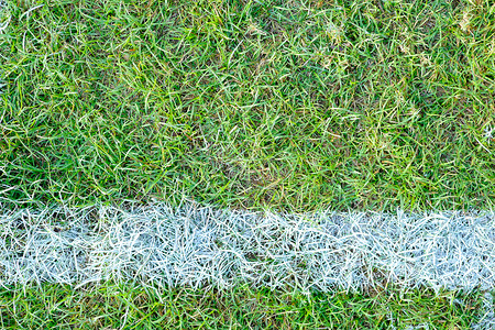 运动领域草叶粉笔自然单线草地草皮体育场操场运动场白色背景图片