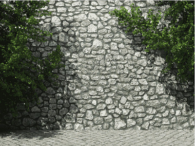 石方石墙和常春藤设计图片