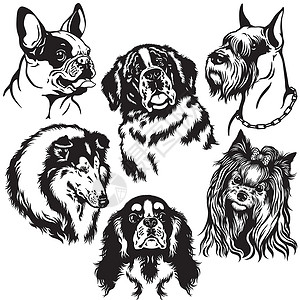 查理王犬带狗狗的黑色白色黑白套插画