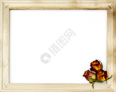 旧图框中的三朵干玫瑰背景图片