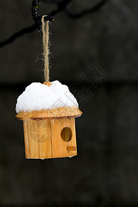 下雪时的鸟屋高清图片