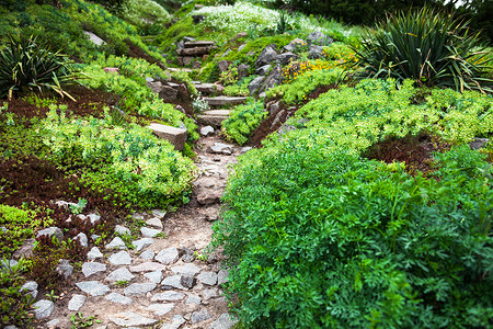 塑石假山绿花园中的石 Stony 路和楼梯踪迹园艺花坛小路高山灌木绿化假山园林植物背景