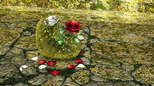 红玫瑰和白玫瑰的心形岩石 与摇滚的背景相伴背景图片