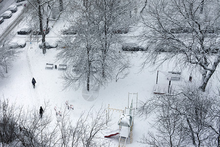 第一场雪树木白色痕迹灰色公园背景图片