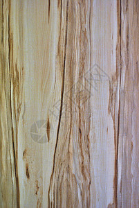 木背景木头木板背景图片