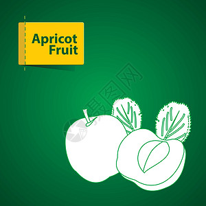 樱桃和杏子果果说明果汁插图西瓜热带标签收成花园柠檬卡通片食物插画
