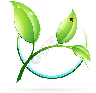 有机的空白的绿芽绿色叶子发芽白色生长空白生态环境标识回收插画