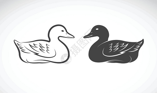 卤水鸭翼白色背景的鸭子矢量图像插画