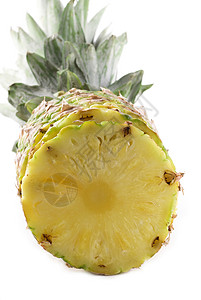 菠萝白色热带水果背景图片