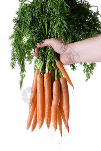 胡石收成橙子农民白色萝卜蔬菜背景图片