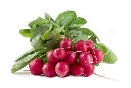 半紫叶子萝卜蔬菜白色水平树叶红色背景图片
