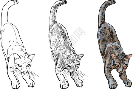 闭眼休息猫可爱可爱可爱的猫咪伸展身体快乐卡通片尾巴艺术猫科动物幸福插图宠物绘画头发设计图片