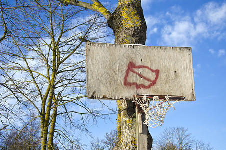 树上有断网的篮球环形原始板背景