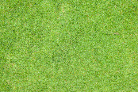 草地面积植物运动场草皮纹理牧场足球场生长场地绿色背景图片