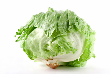 发生白色沙拉蔬菜冰山绿色背景图片