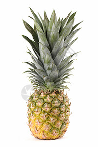 菠萝热带白色水果食物背景图片