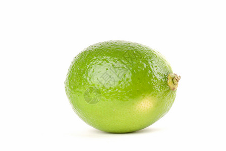石灰食物绿色水果白色热带背景图片