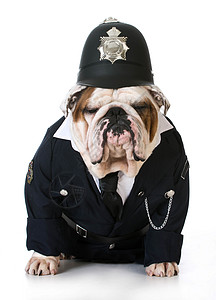 牵着警犬警察警犬或捕狗者犬类头盔人性化宠物帽子动物捕手眼睛戏服首席背景