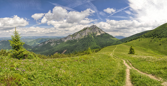 斯洛伐克森林首脑丘陵顶峰远足山脉水平山谷树木山顶高清图片