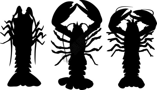 龙虾拼贴画身体黑色白色食物螃蟹海洋甲壳动物贝类高清图片