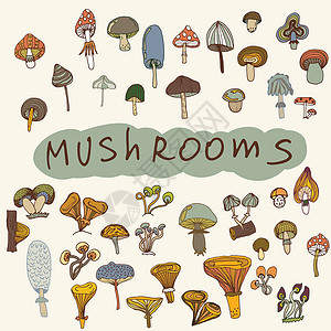 蘑菇手绘一套手工拖制蘑菇设计图片