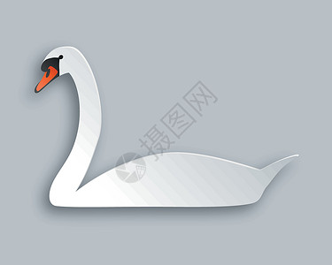 双鹅戏水双月光动物阴影白色插图卡片插画